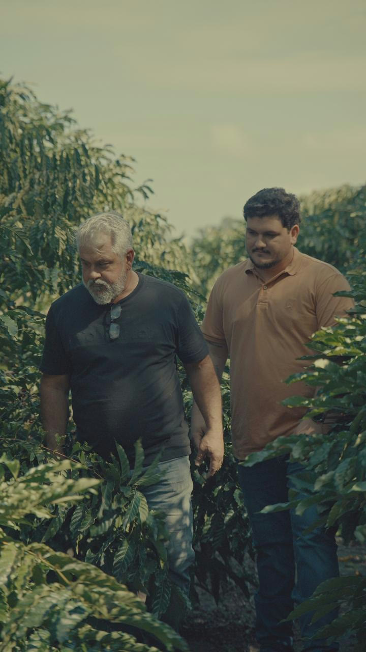 Heitor e o pai caminhando entre os pés de café da família